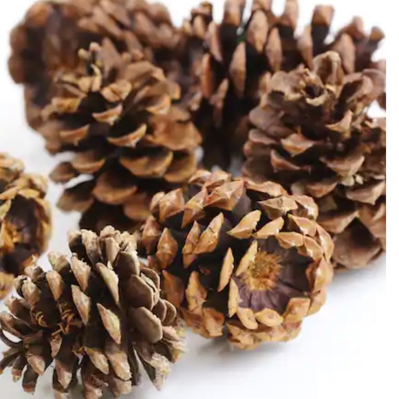 Cinnamon Scented Pinecones 3 dry quart/3.3 L - Picture 4 of 4